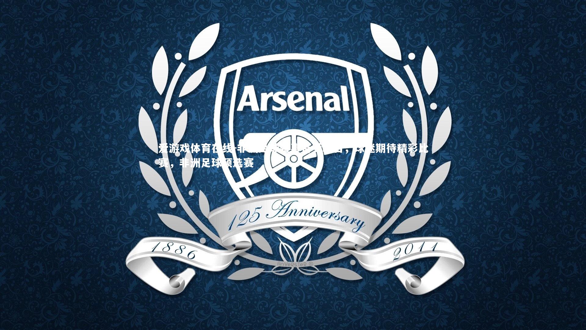 非洲足球赛事备受瞩目,球迷期待精彩比赛,非洲足球预选赛