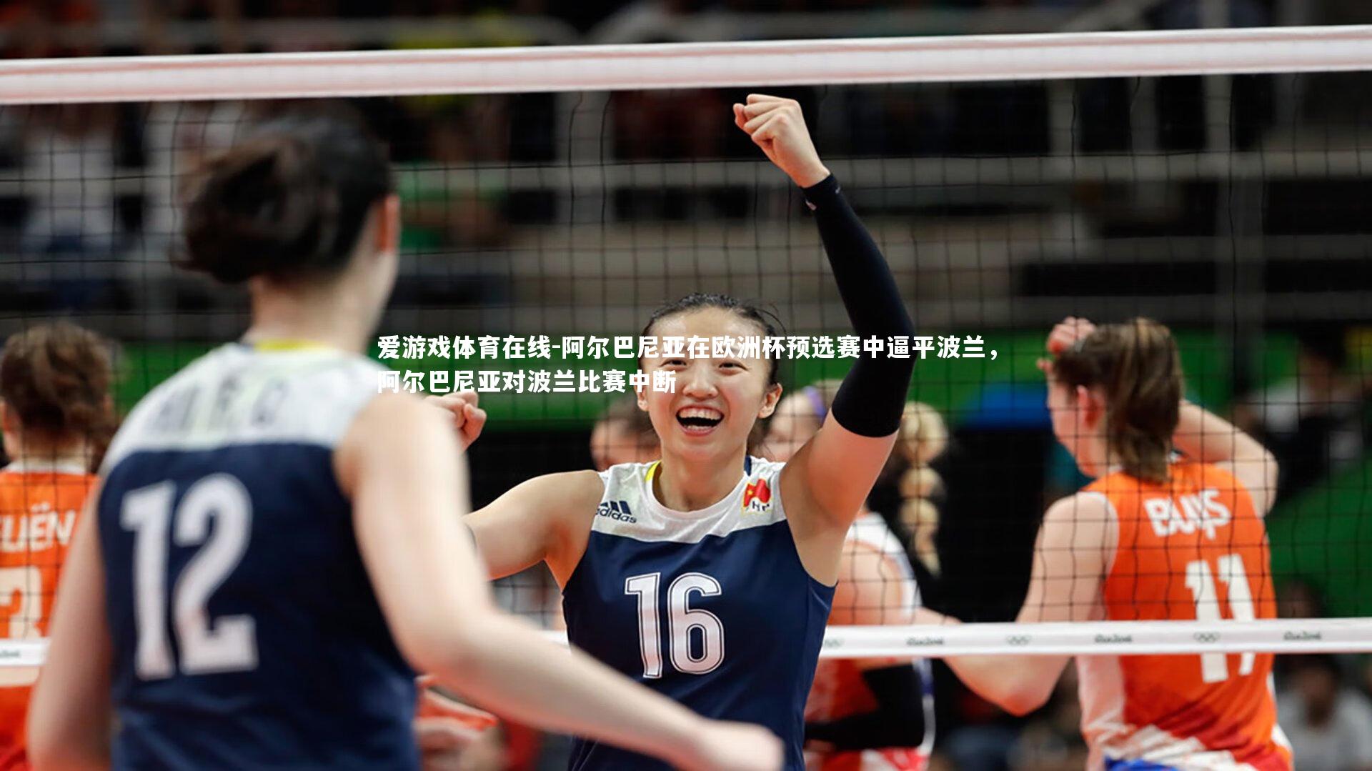 阿尔巴尼亚在欧洲杯预选赛中逼平波兰,阿尔巴尼亚对波兰比赛中断