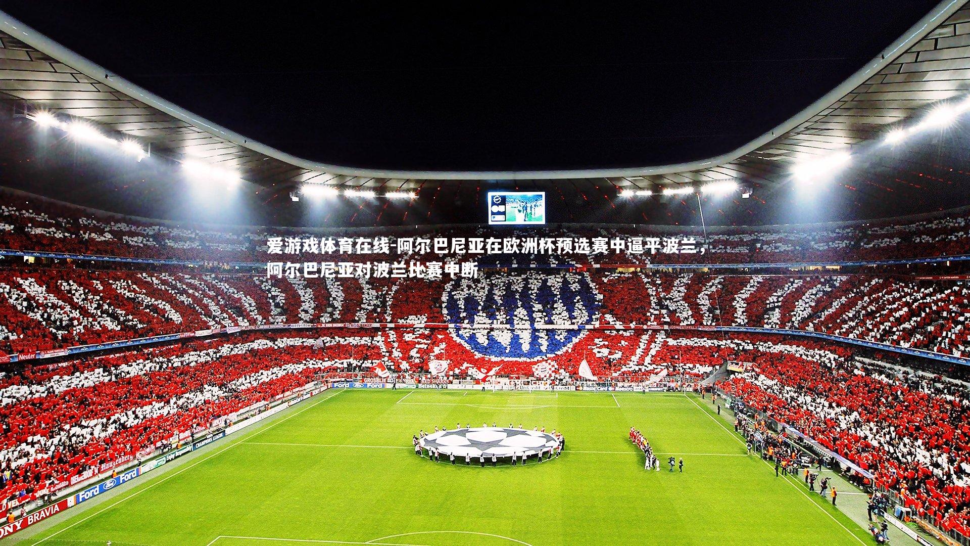 阿尔巴尼亚在欧洲杯预选赛中逼平波兰,阿尔巴尼亚对波兰比赛中断